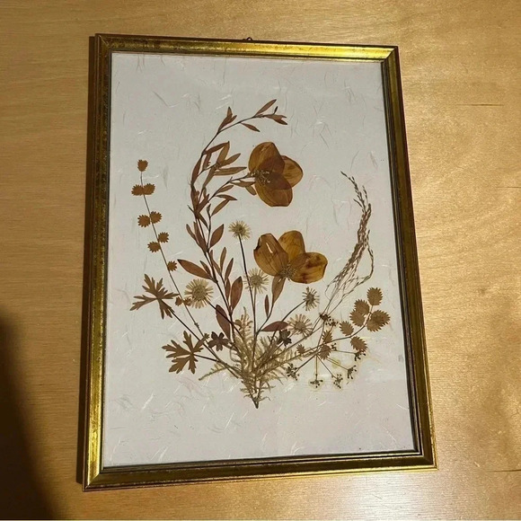 Vintage Framed Pressed Dried Flowers Boho Style Made W. Germany 9”x12” - Picture 1 of 7